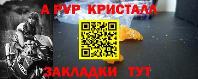 амф Донской